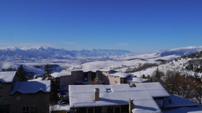 Spacieux 2 pièces Font Romeu